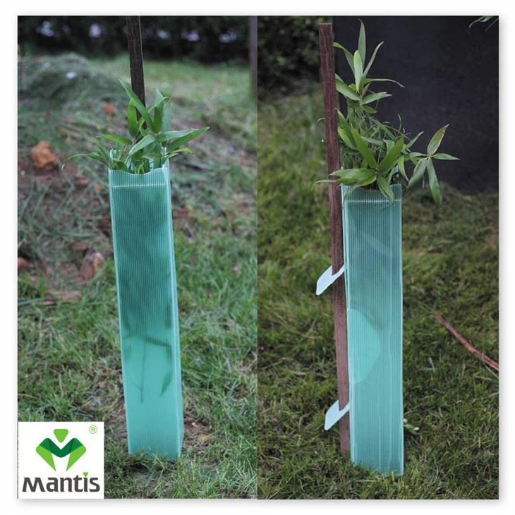 Square Tree Guard manufacturer