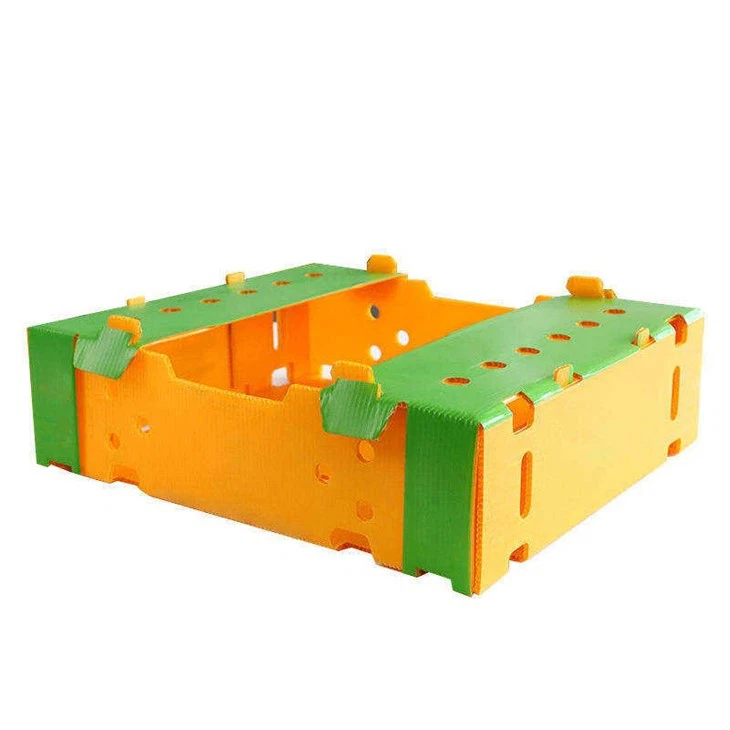 Corrugated Plastic Box For Fruits And Vegetables
