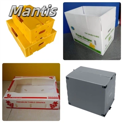 „Mantis PP“ plastikinės dėžutės: universali, patvari ir ekologiški pakuočių s...
